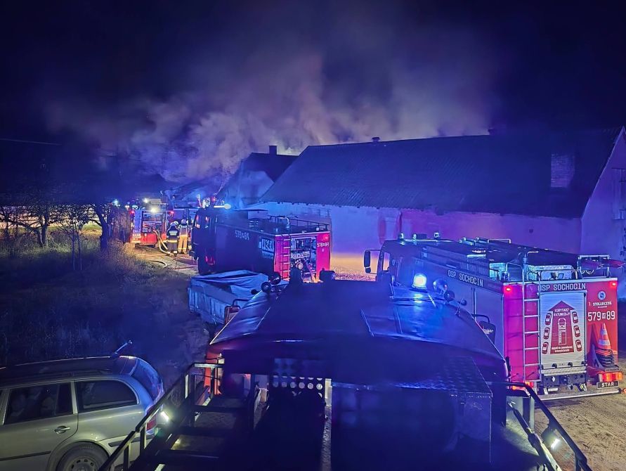 Nocny pożar gasiło kilka zastępów strażaków. Przyczynę ustali biegły